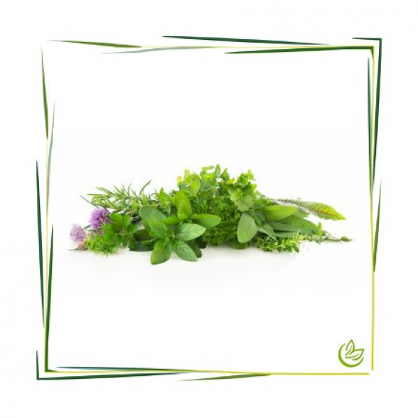 Natürliches Parfümöl Herbal Care 3 l